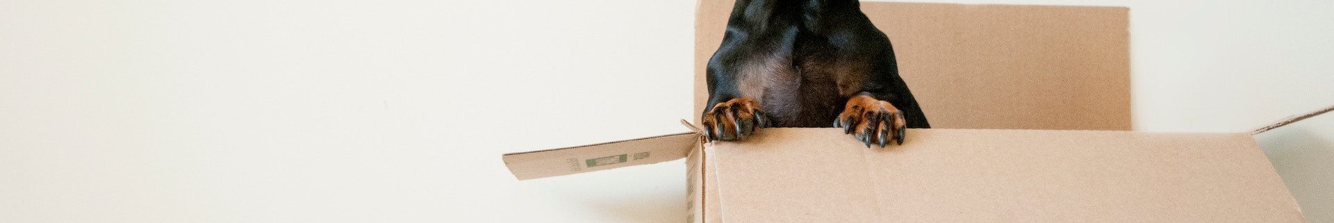 How Much Movers Charge in Boston?
