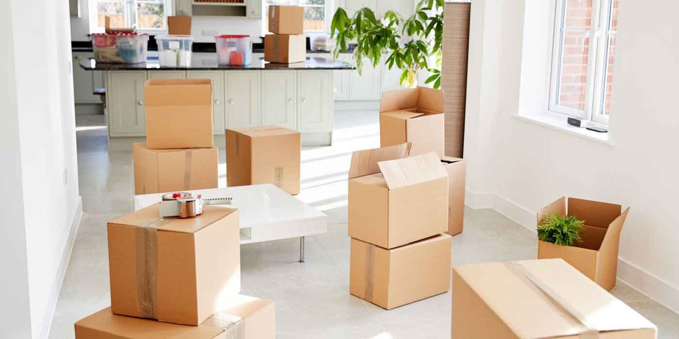 8 Moving Tips for The Smoothest Moving Experience