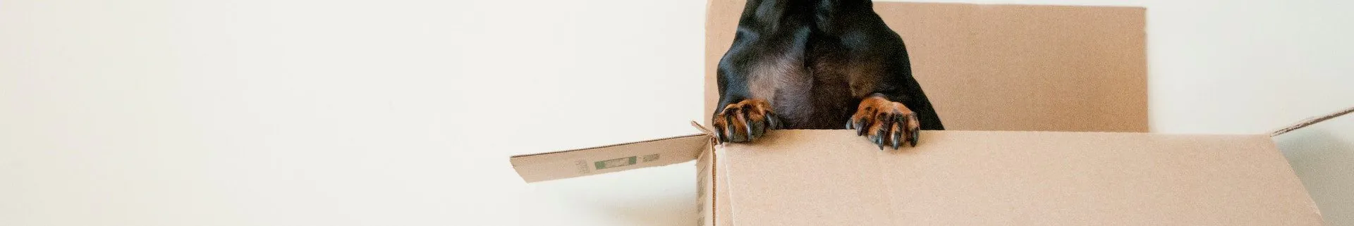 How Much Movers Charge in Boston?