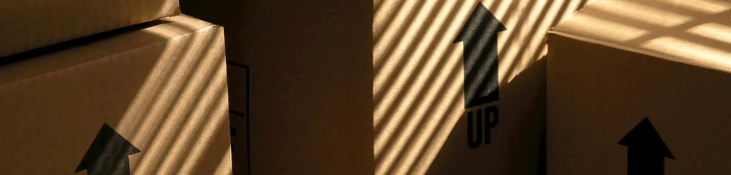 Is It Worth Paying for Packing when Moving?