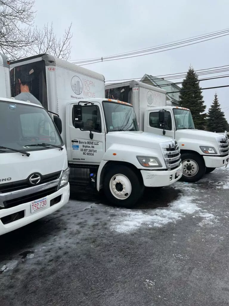 Illinois Movers , Chicago